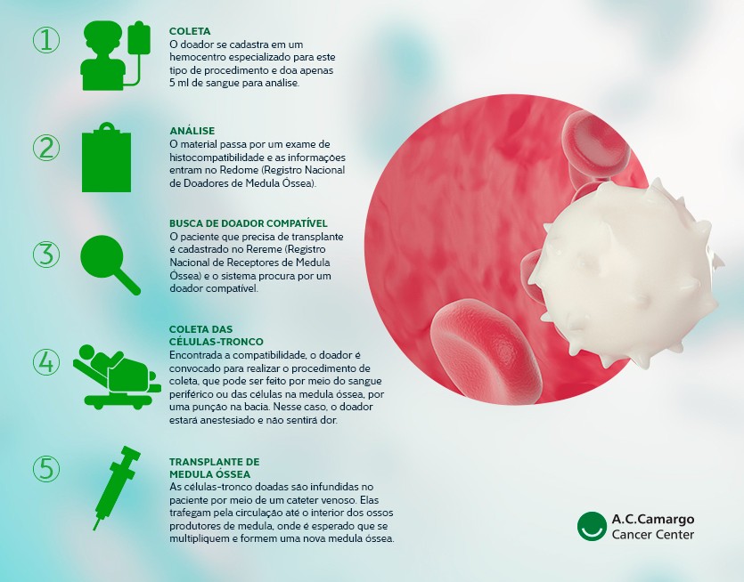 Doação de medula óssea: este infográfico mostra o passo a passo em texto