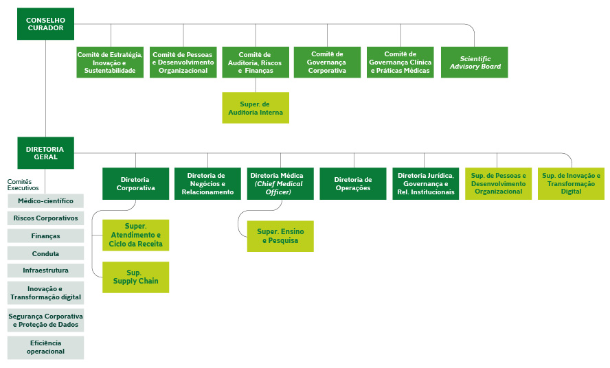 Descrição da estrutura organizacional em formato de organograma