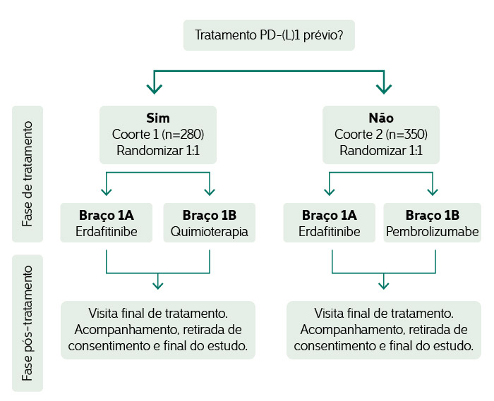 Infográfico comparativo dos diferentes tipos de randomização com erdafitinibe ou qumimioterapia ou pembrolizumabe