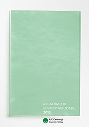 Relatório de Produção científica 2013