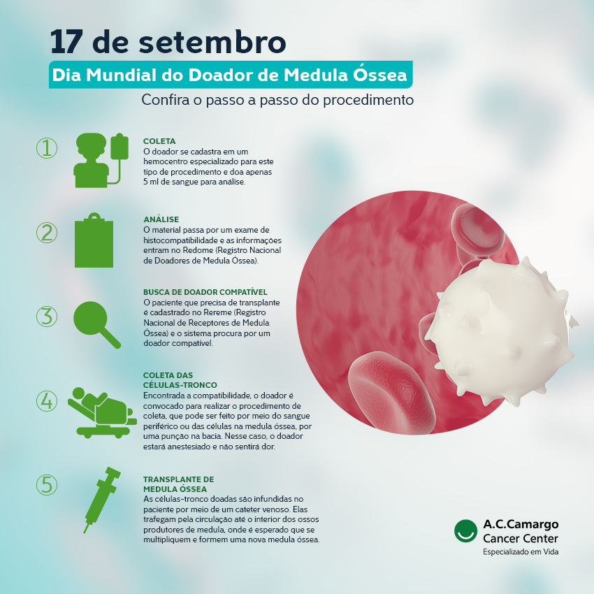 Infográfico sobre a doação de medula óssea