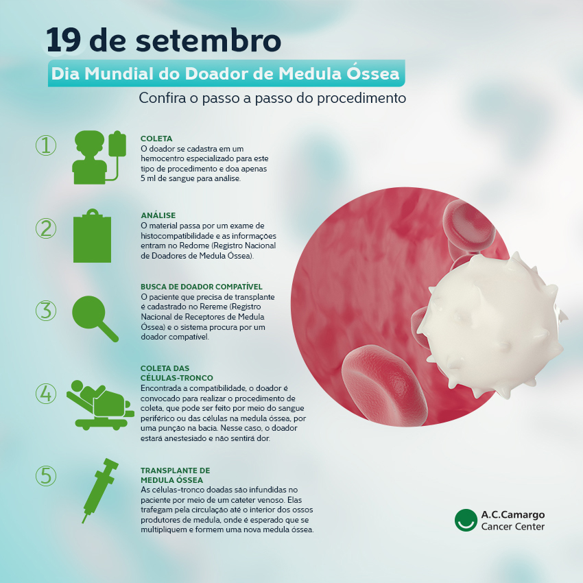 infográfico com o passo a passo para o doador de medula óssea
