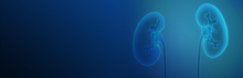 Ilustração azul de 2 rins, parecem 2 feijões 